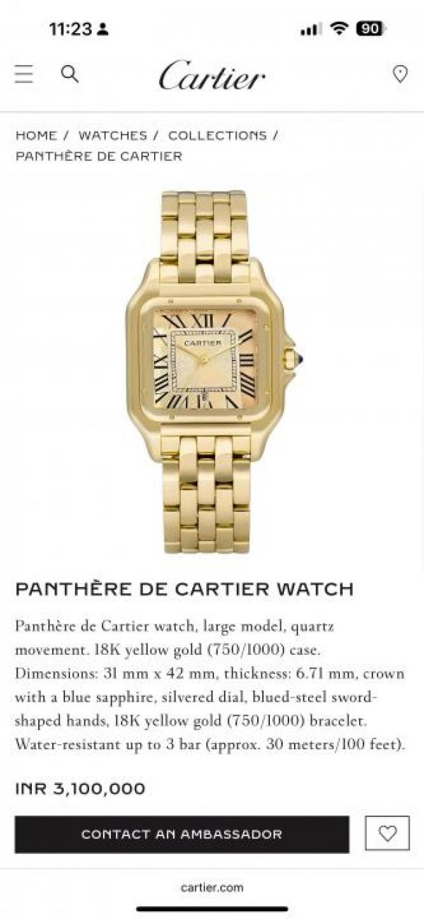 Cartie_r Panther Store Article