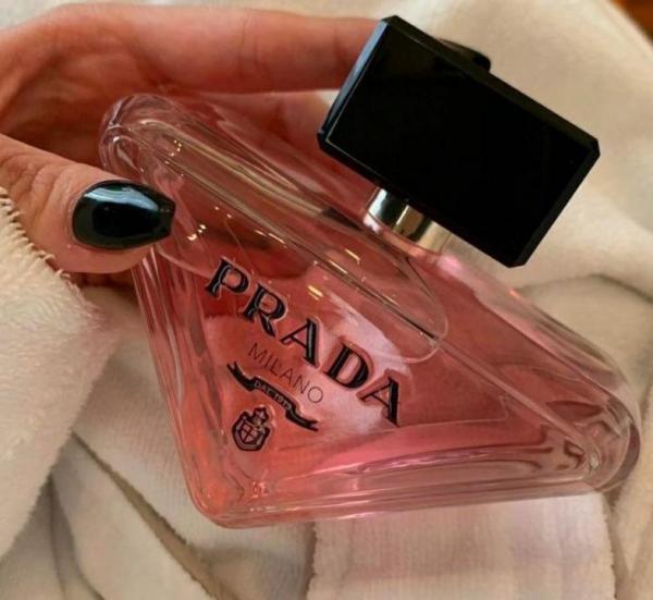 Prad_a PAEADOX_E EDP
